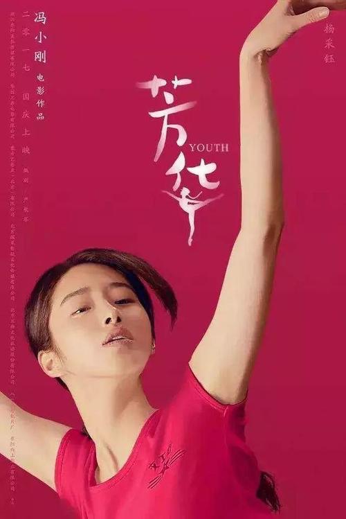 哪里能买到摩尔多瓦护照模板
